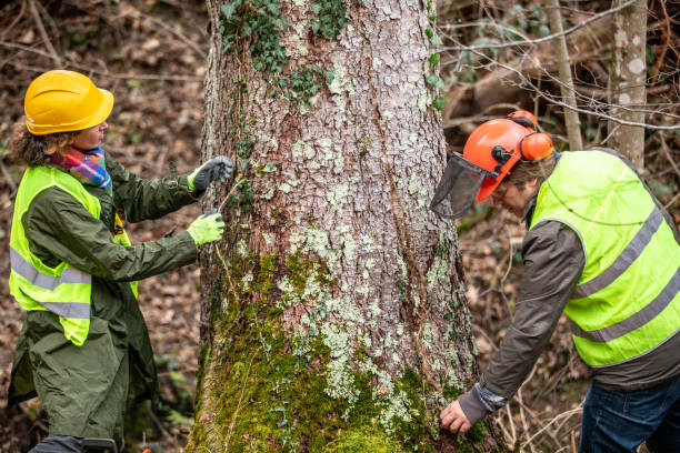 Best Emergency Tree Removal  in Devon, PA