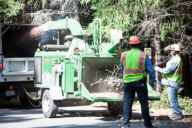  Devon, PA Tree Services Pros